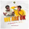 JJ GONAMI - WE ARE OK (feat. TUF B) - Single